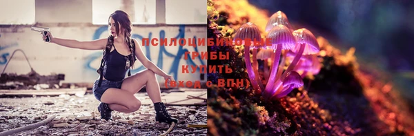 сатива Навашино