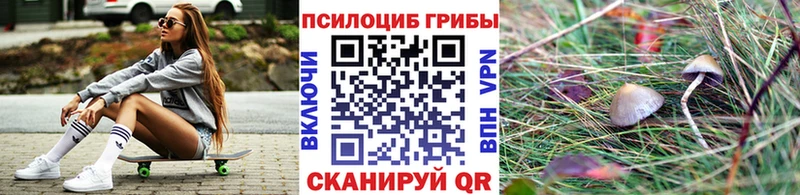 Псилоцибиновые грибы Magic Shrooms  Купить где  Власиха 